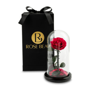 Red Eternity Rose in Glass Dome